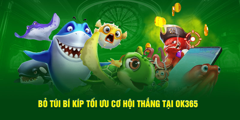 Bỏ túi bí kíp tối ưu cơ hội thắng tại OK365