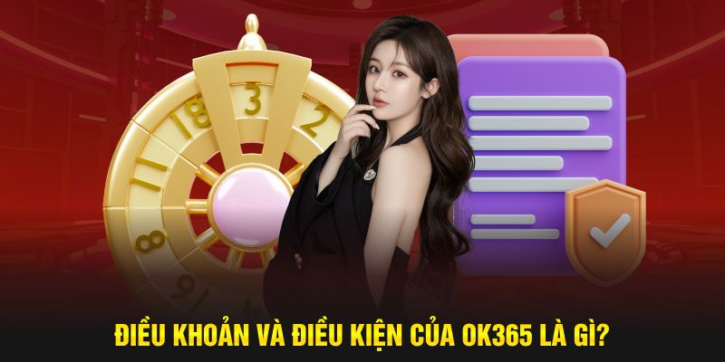 Điều khoản và điều kiện của Ok365 là gì?