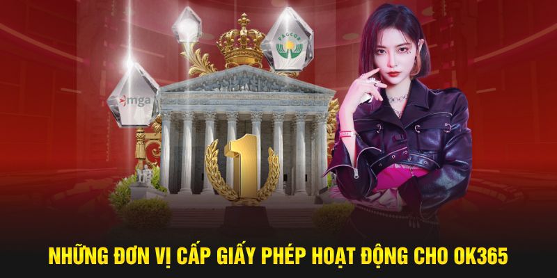 Những đơn vị cấp giấy phép hoạt động cho OK365