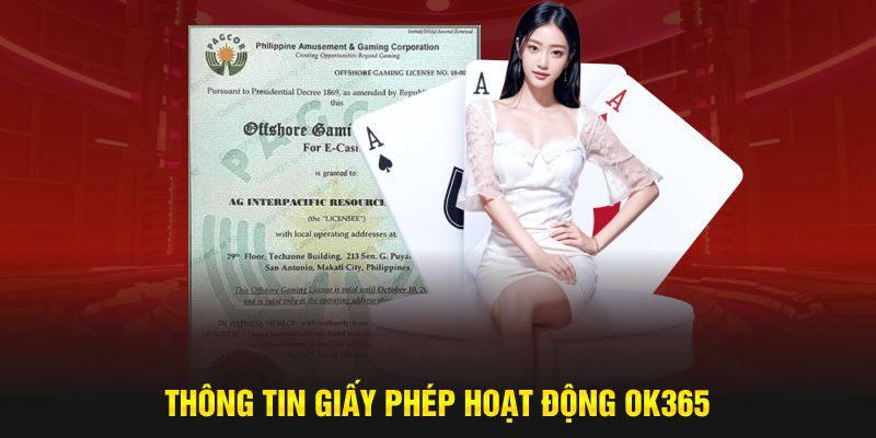 Thông tin giấy phép hoạt động OK365