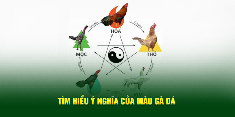 Tìm hiểu ý nghĩa của màu mạng