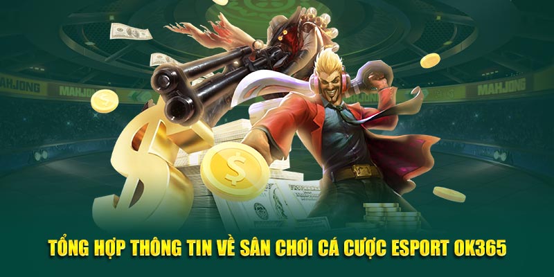 Tổng hợp thông tin về nền tảng giải trí chất lượng trên thị trường 