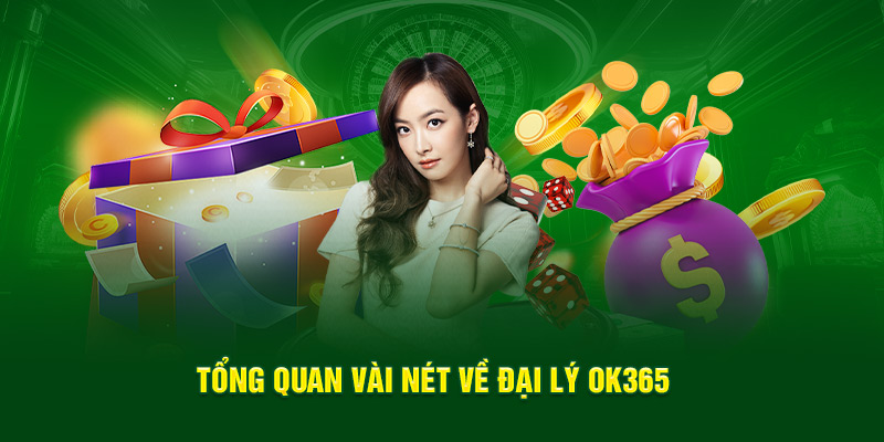 Tổng quan vài nét về đại lý OK365